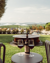 Scarpa Winery - Degustazione di vitigni rari