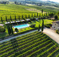 Fattoria Viticcio - Tasting Riserva