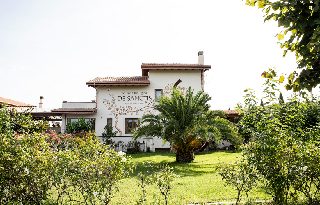 De Sanctis - Degustazione 3 Vini Lazio De Sanctis