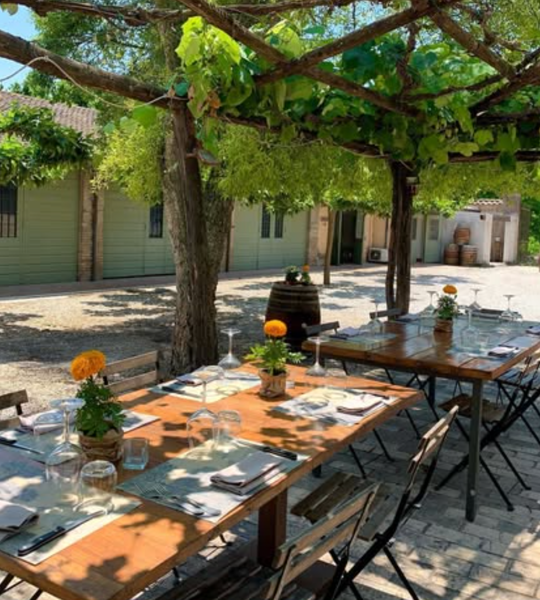 Castello di Torre in Pietra - Cooking class e Pranzo Lazio Castello di Torre in Pietra