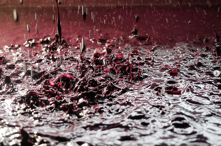 Terre del Marchesato - Degustazione Classic Toscana Terre del Marchesato