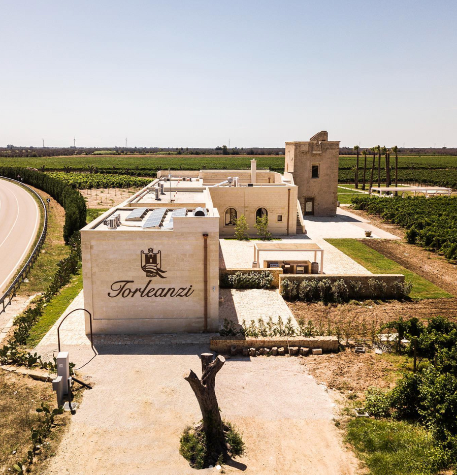 Masseria Torleanzi - Degustazione Classic Puglia Masseria Torleanzi