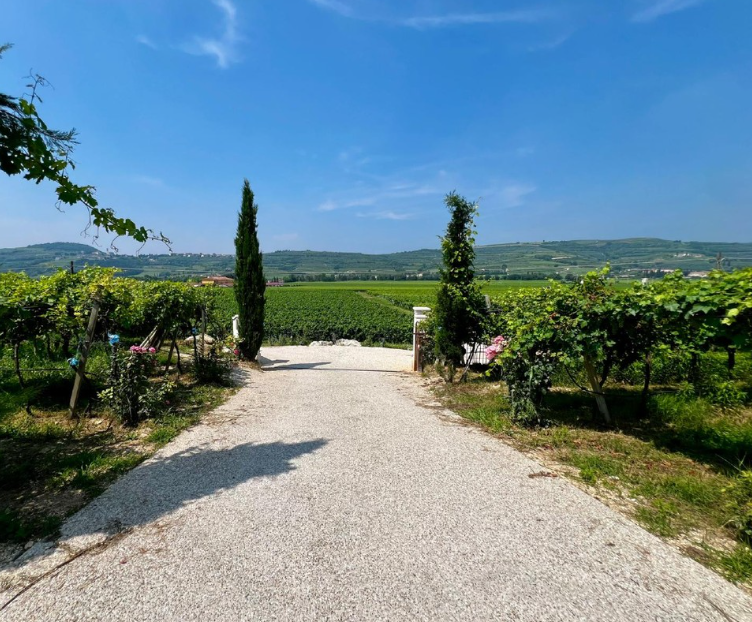 Falezze - Soggiorno & Degustazione Veneto Falezze