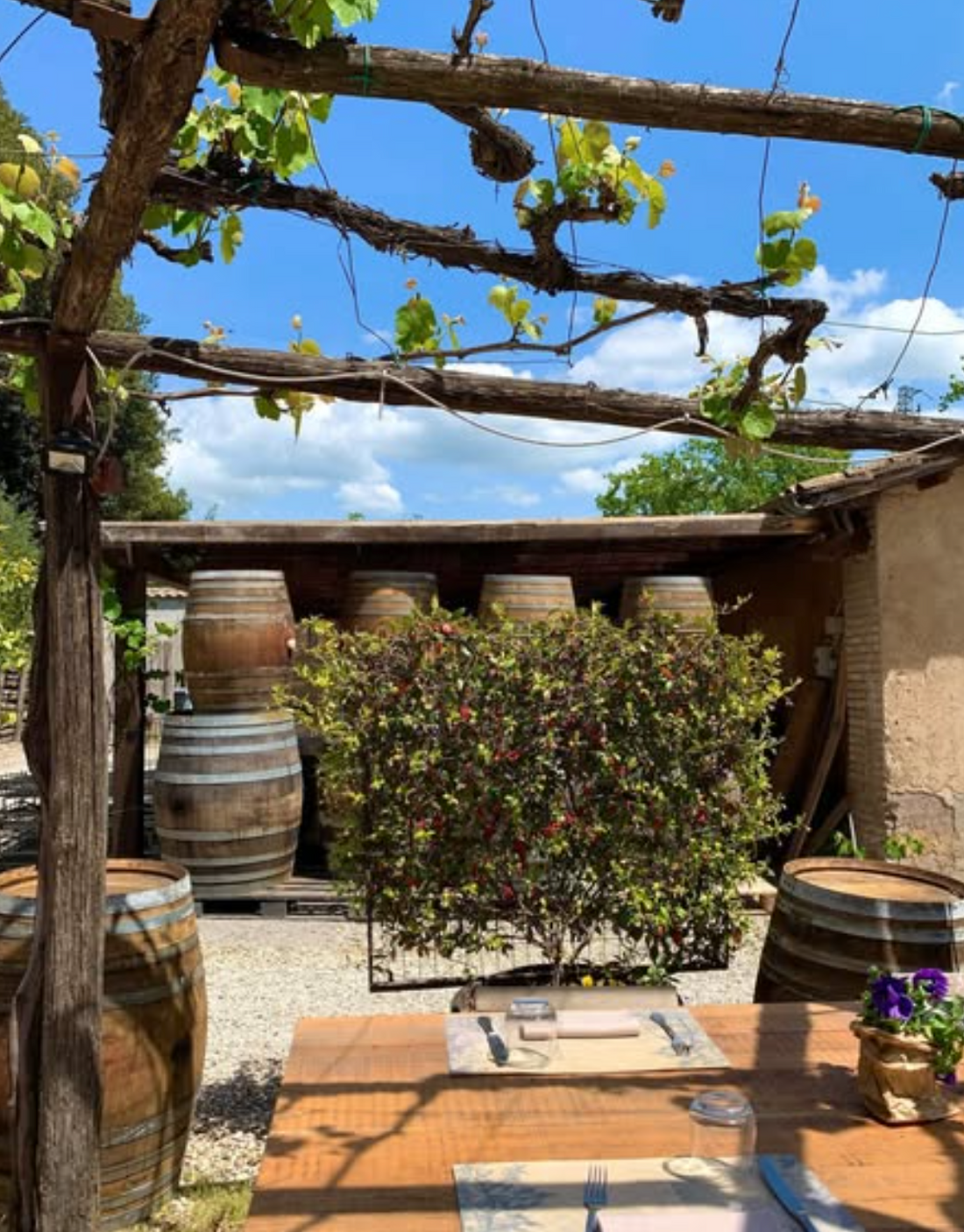 Castello di Torre in Pietra - Cooking class e Pranzo Lazio Castello di Torre in Pietra