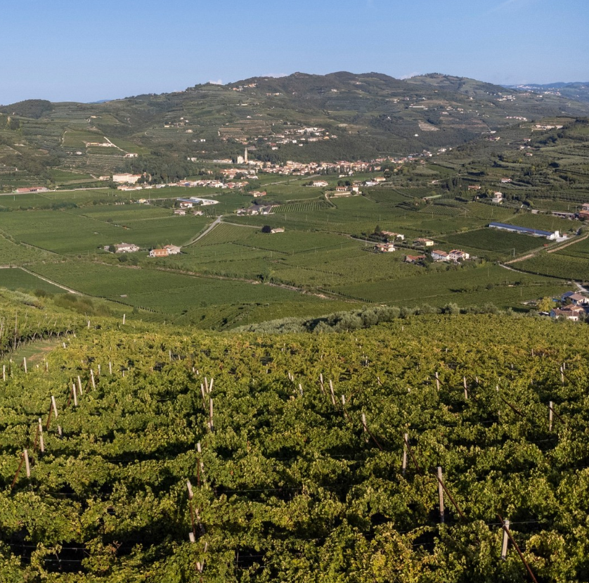 Falezze - Soggiorno & Degustazione Veneto Falezze