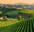 Badia di Morrona - Wine Tour e Degustazione