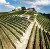 Castello di Perno -  Soggiorno & Degustazione Classic