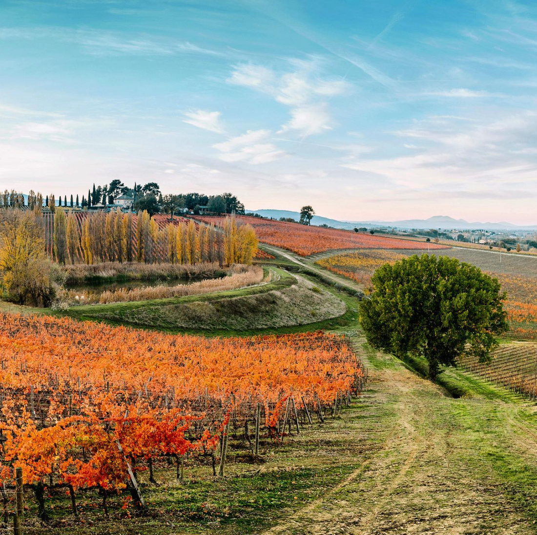 Arnaldo Caprai - Degustazione di vino "SFUMATURE DI MONTEFALCO"