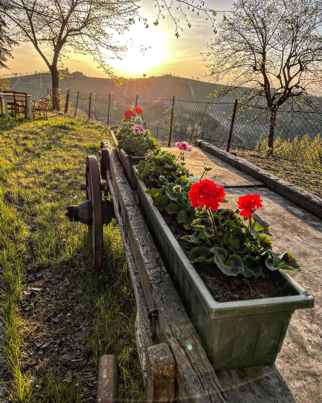 Simone Cerruti Winery - Degustazione 6 Vini - Piemonte