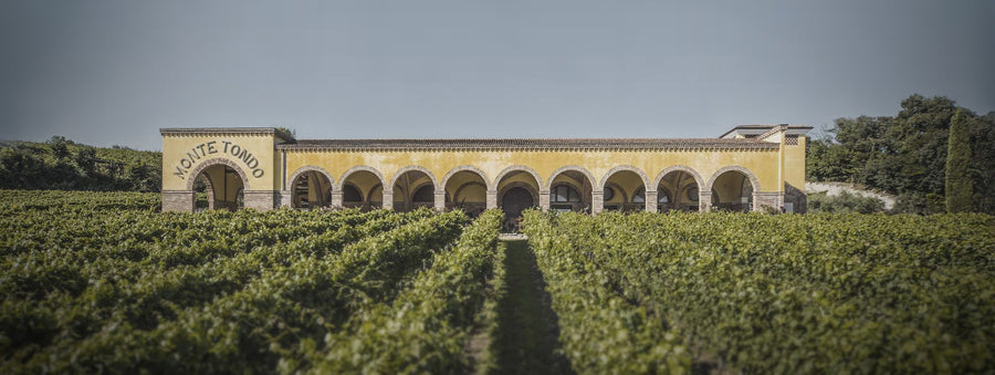 Az.Agr. Montetondo - PERCORSO CLASSICO Veneto Az.Agr. Montetondo