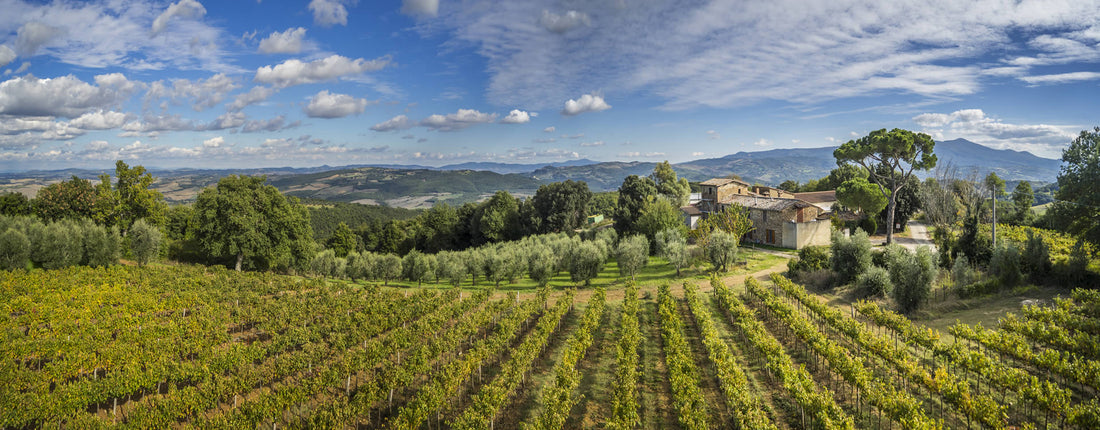 Fattoria dei barbi - Degustazione di vino esclusiva