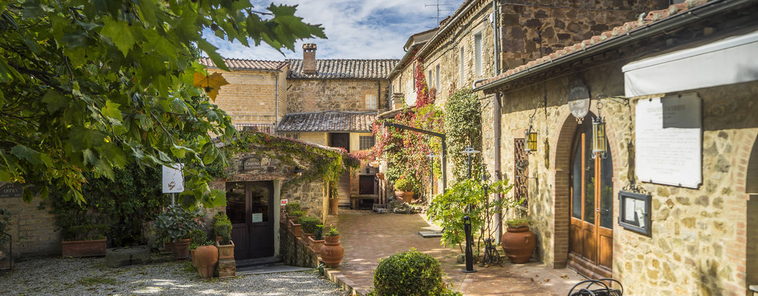 Fattoria dei barbi - Degustazione di vino esclusiva