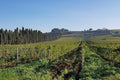 Tenuta di Pietra Porzia - Esperienza Lago Regillo
