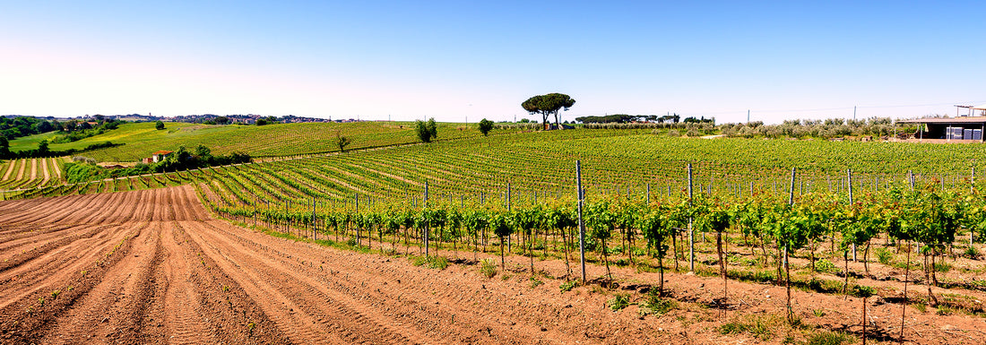 Terre del Veio - Degustazione Classica