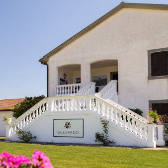 Mazzei Tenuta Belguardo - Degustazione di vino esclusiva