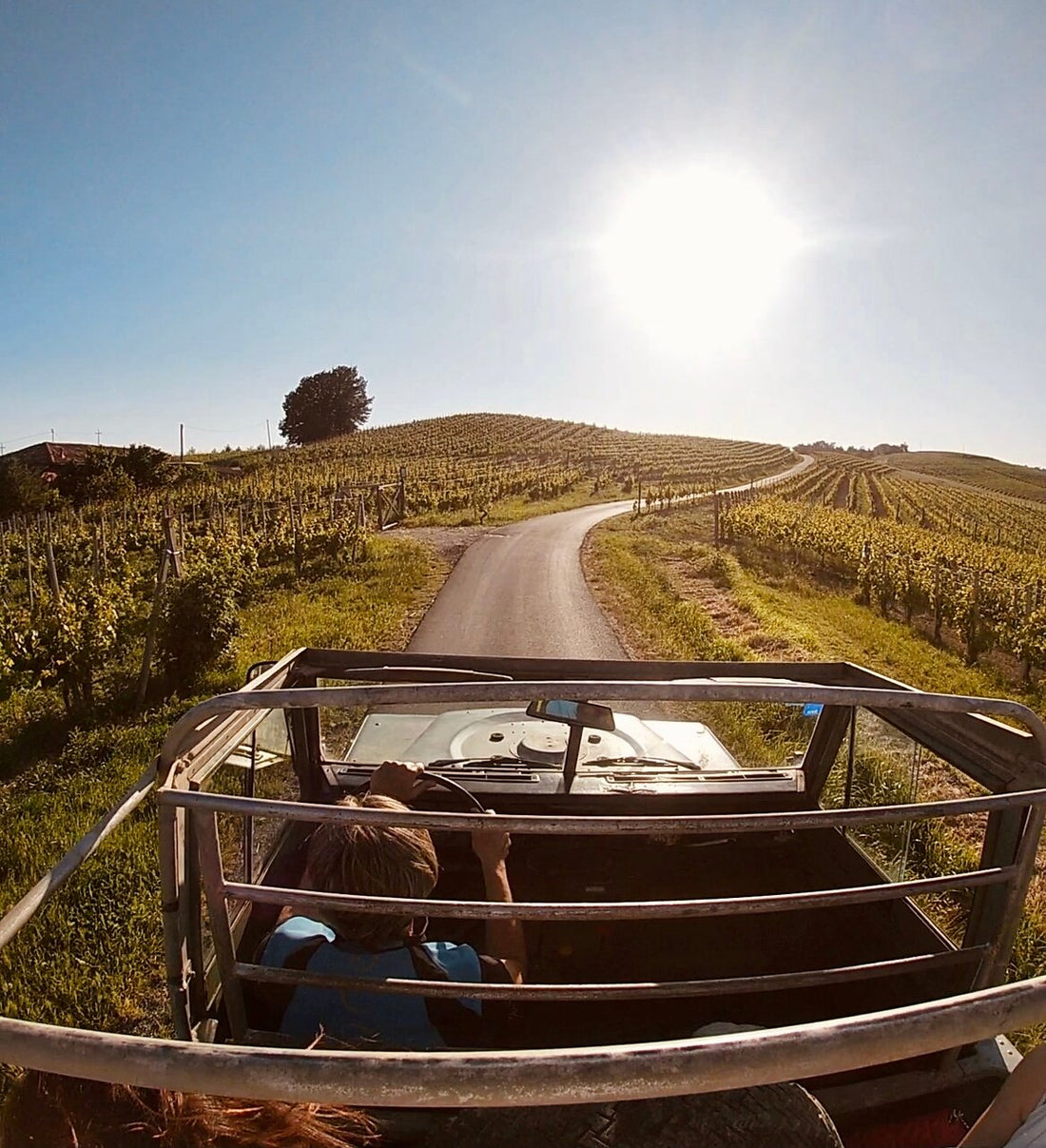 Oddone Prati - Tour dei vigneti in Jeep - Piemonte