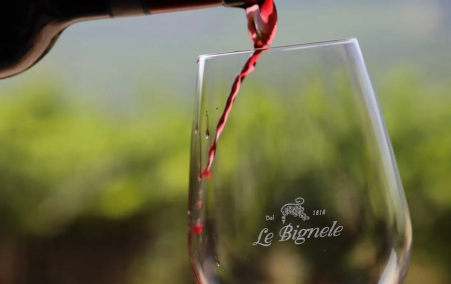 Le Bignele - L’arte del vino - WINERIES