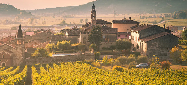 Marco Buvoli - Degustazione - WINERIES