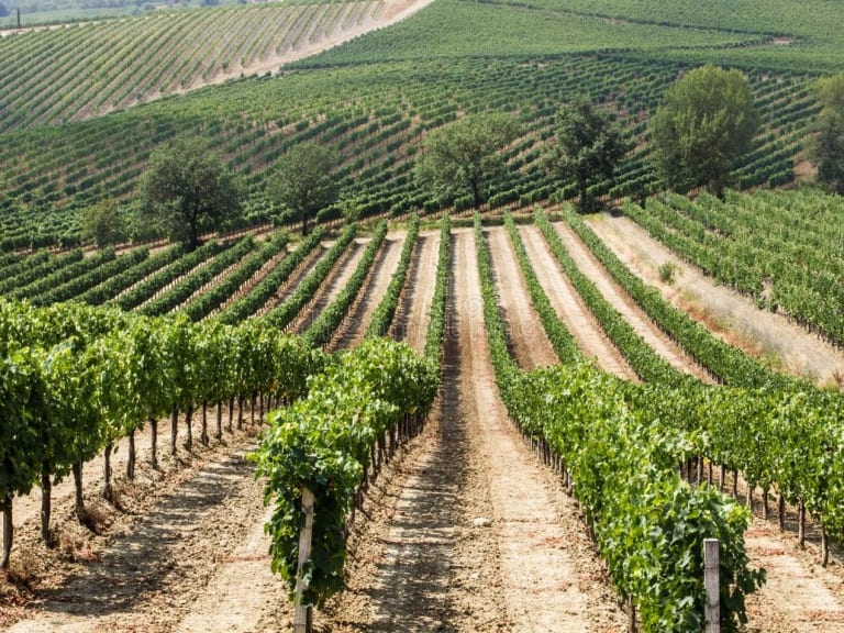 Soggiorno & Degustazione in Wine Resort - Toscana Toscana Toscana