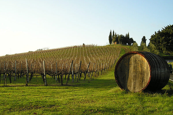 Soggiorno & Degustazione in Wine Resort - Umbria Umbria Umbria