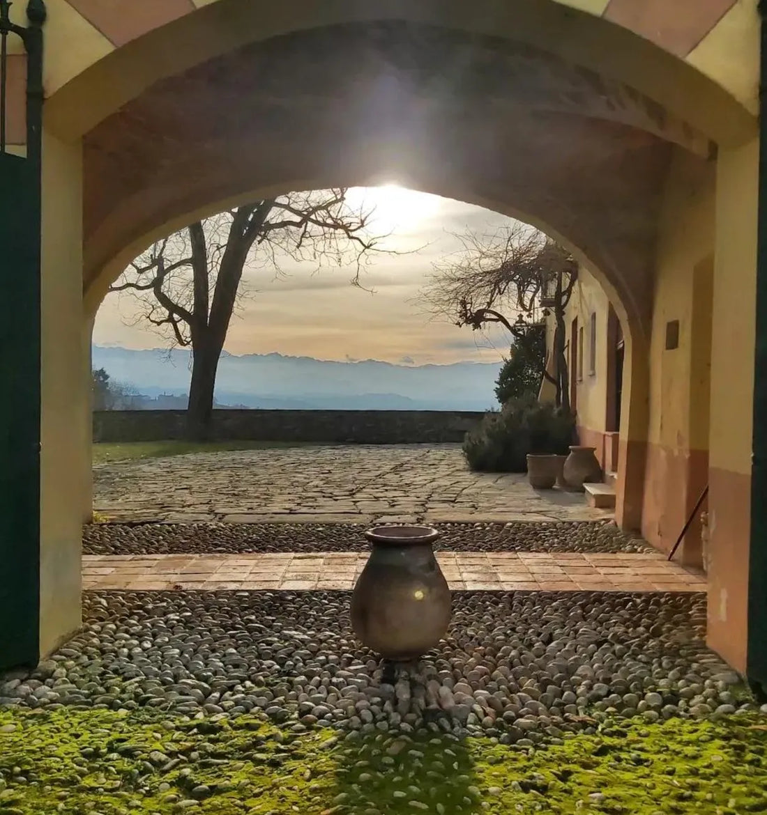 Cantine Luzi Doandei - I classici del Piemonte - Piemonte