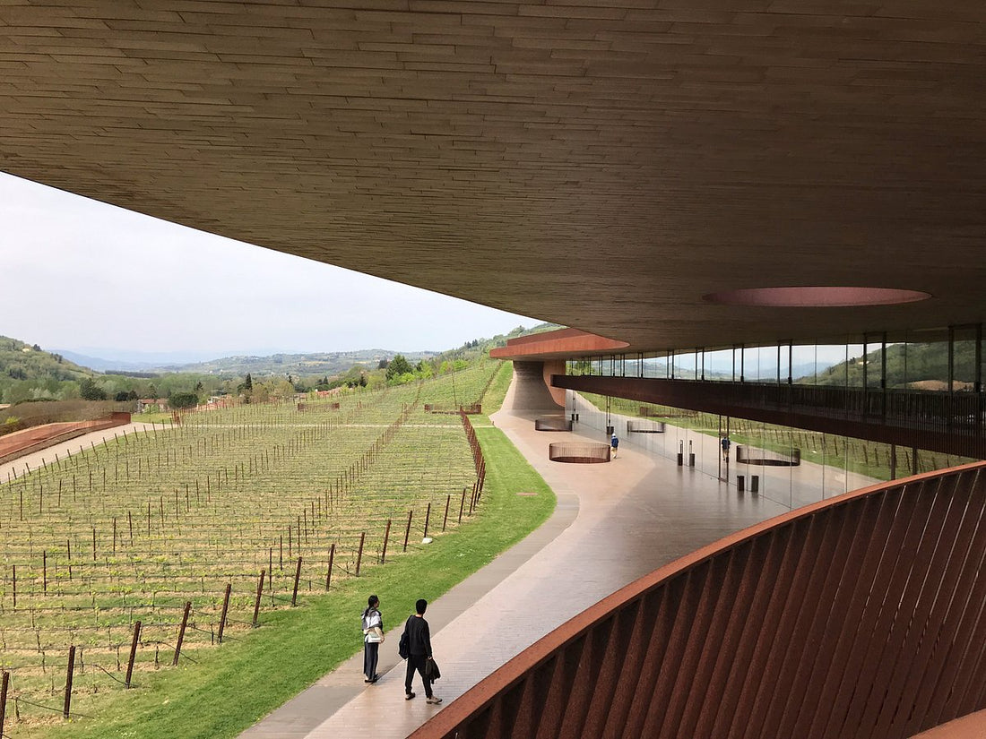 Tenuta Antinori Chianti classico - Degustazione di vino esclusiva