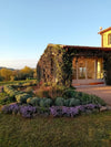 Malauva - Visita e Degustazione 4 Vini
