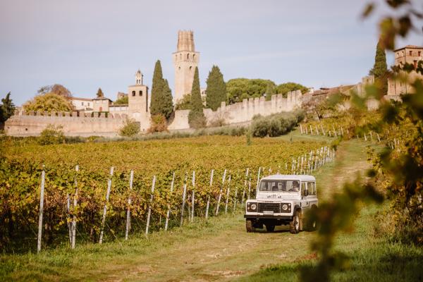 Oddone Prati - Pic Nic nel vigneto - Piemonte