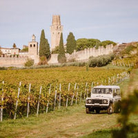 Oddone Prati - Pic Nic nel vigneto - Piemonte