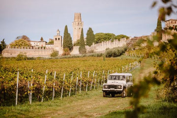 Oddone Prati - Tour dei vigneti in Jeep - Piemonte