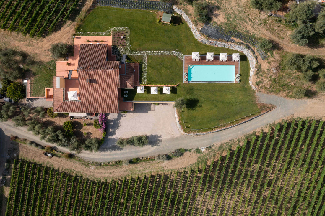 La Colombiera - WINE & LUNCH EXPERIENCE Liguria La Colombiera